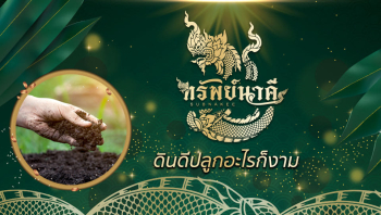 SUBNAKEE888 (ปุ๋ยน้ำ ทรัพย์นาคี) ปุ๋ยนวัตกรรมอินทรีย์ สารเสริมประสิทธิภาพพืช แถวตำบลไทรน้อย อำเภอไทรน้อย จังหวัดนนทบุรี